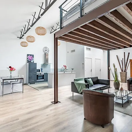 Le Faubourg Saint Martin Loft And 1 Apartment Senlis (Oise)